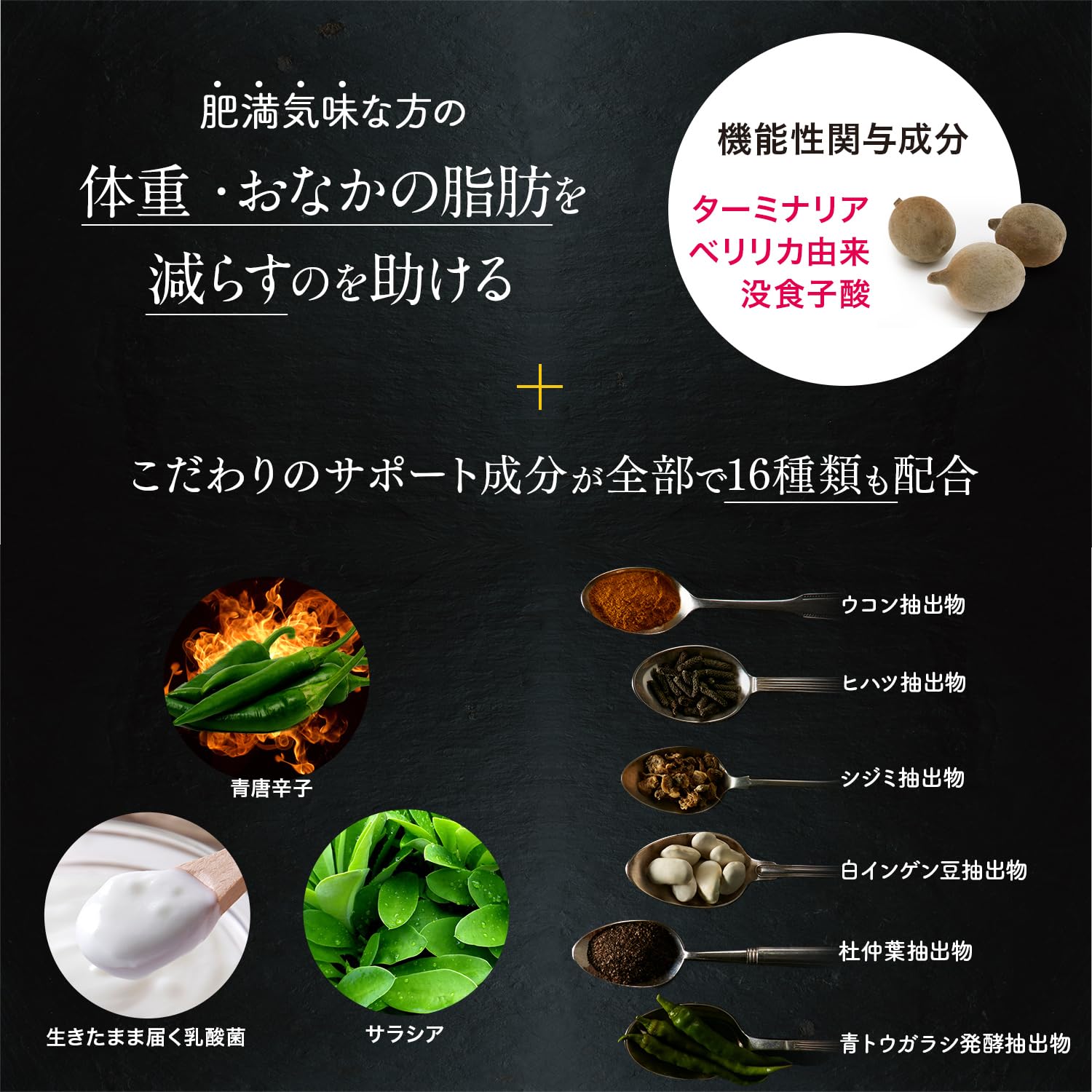 Amazon.co.jp: ターミナリアファースト 4 大容量 (機能性表示食品