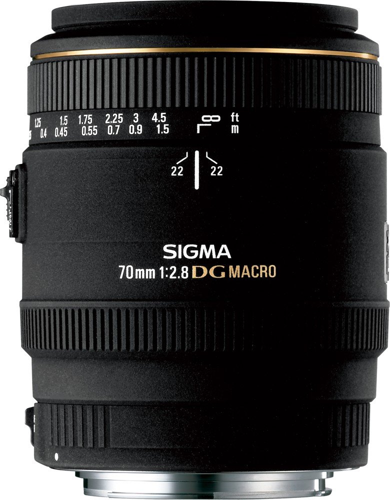Amazon.co.jp: SIGMA 単焦点マクロレンズ MACRO 70mm F2.8 EX DG