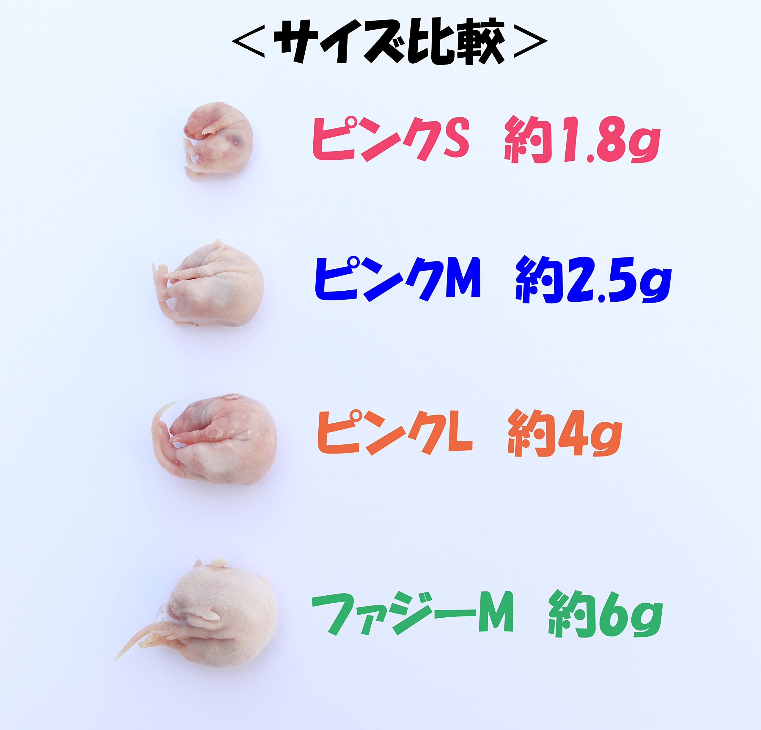 Amazon | 冷凍マウス リタイア 10匹 国産 SAfarm | SAfarm | フード 通販