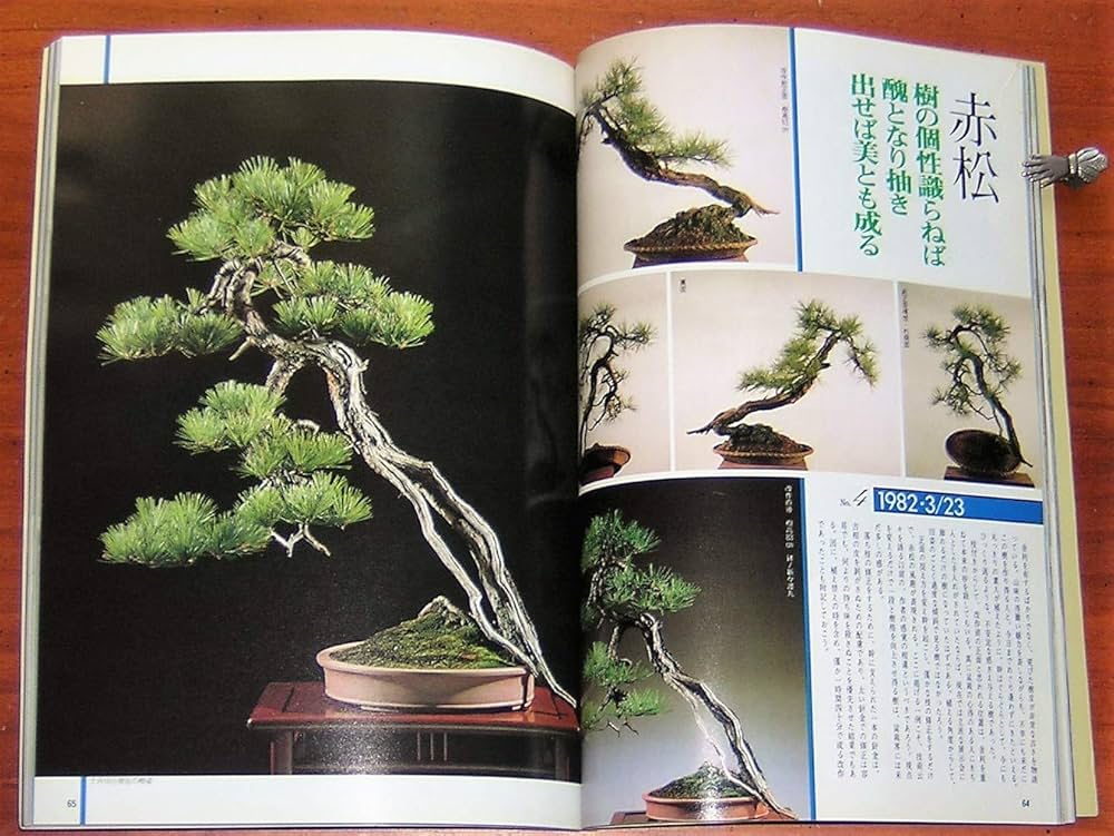 71WmfVxIioL._AC_UF1000,