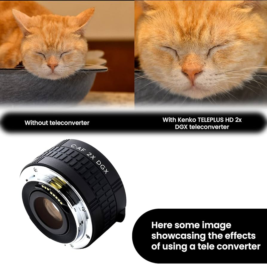 Amazon | Kenko カメラ用アクセサリ テレプラス HD 2X DGX キヤノン