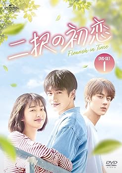 Amazon.co.jp: 二択の初恋 DVD-SET1 : ジアン・ジンリン, ドン