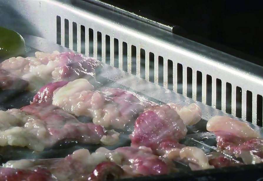 Amazon | シナジートレーディング スーパー吸煙グリル スモークリーン