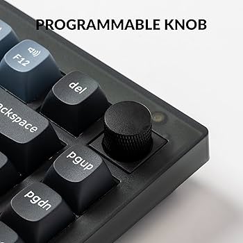 Amazon.com: Keychron V1 Wired Custom Mechanical Keyboard Knob