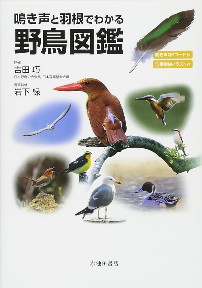 Amazon.co.jp: 鳴き声と羽根でわかる 野鳥図鑑-鳥の鳴き声が聴ける