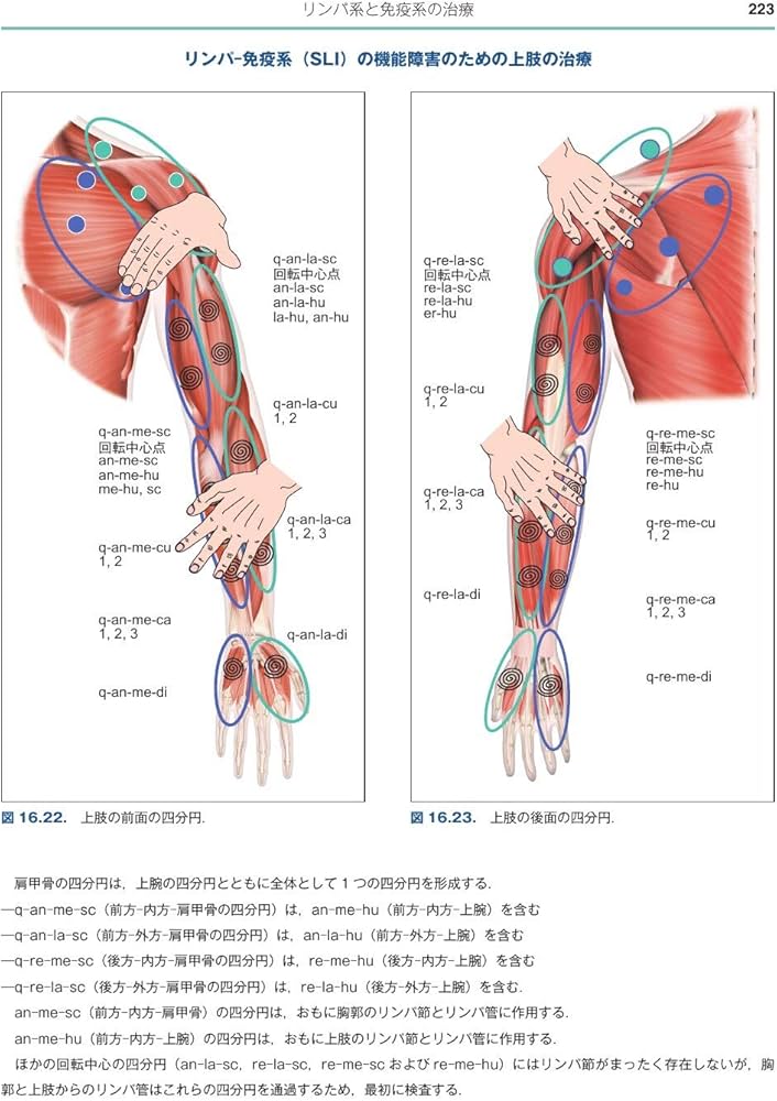 内部機能障害への筋膜マニピュレーション 実践編 | Luigi Stecco