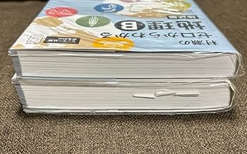 Amazon.co.jp: 村瀬のゼロからわかる地理B 《地誌編》《系統地理編》2