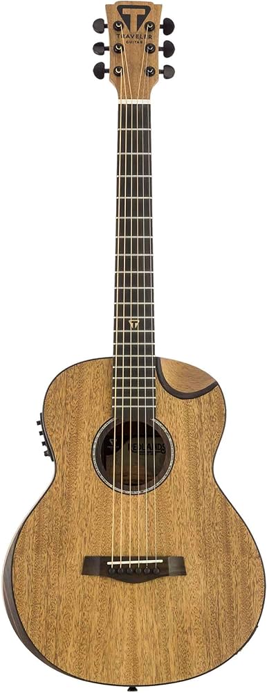 Amazon.co.jp: TRAVELER GUITAR トラベラーギター エレアコギター