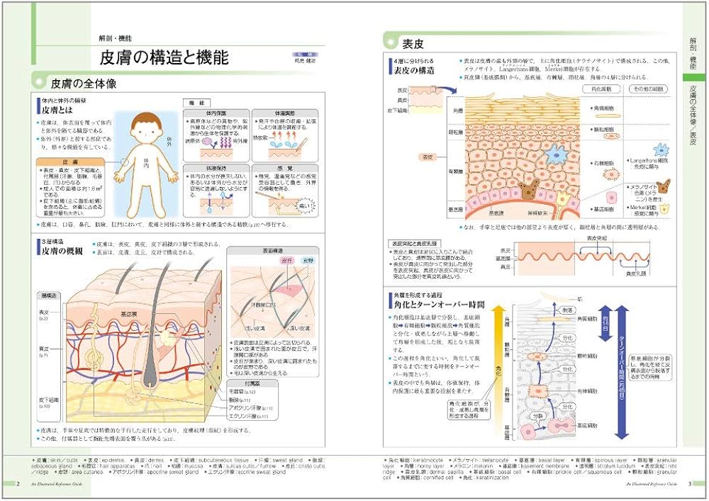 病気がみえる vol.14 皮膚科 第1版 | 医療情報科学研究所 |本 | 通販