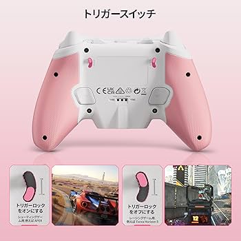 Amazon.co.jp: PC コントローラー、BIGBIG WON Rainbow 2 SE