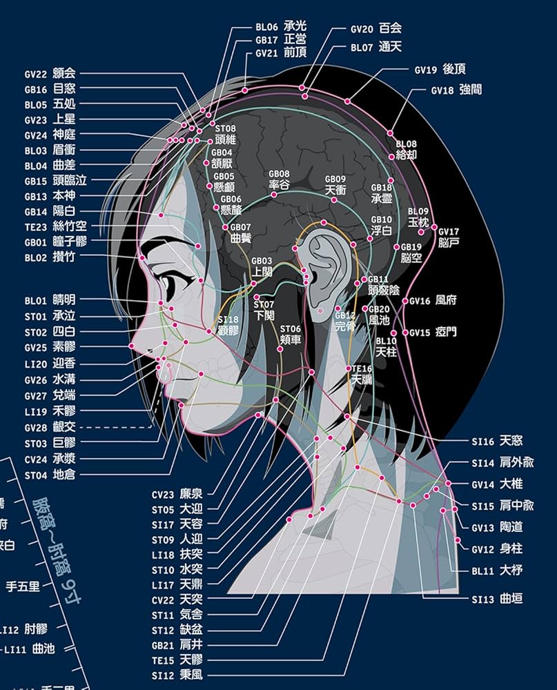 美しい十四経絡交会図 | 吉田 啓 |本 | 通販 | Amazon