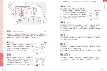 日本語教育教科書 日本語教育能力検定試験 分野別用語集 | ヒューマン