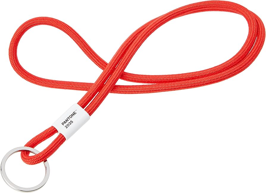 Amazon.com: Copenhagen Design PANTONE Long Keychain - Key Lanyard