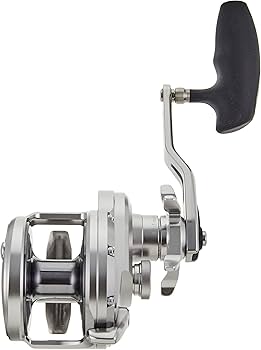 Amazon | シマノ(SHIMANO) ベイトリール 両軸 20 オシアジガー 4000HG
