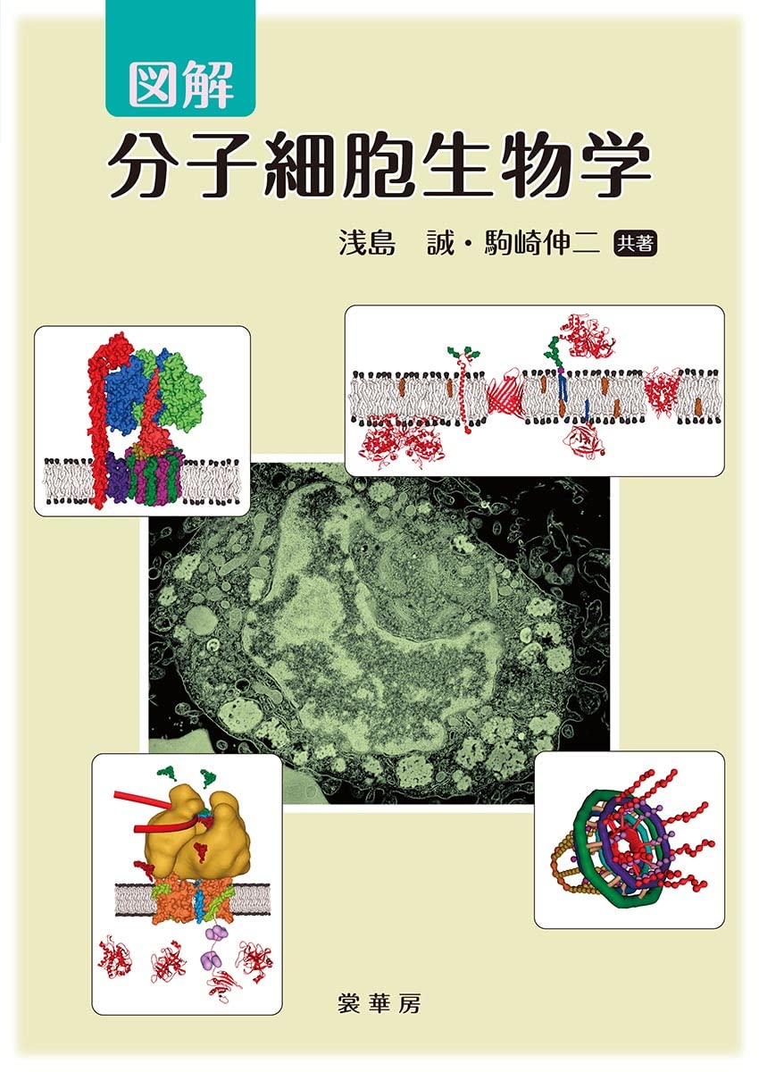 図解 分子細胞生物学 | 浅島 誠, 駒崎 伸二 |本 | 通販 | Amazon