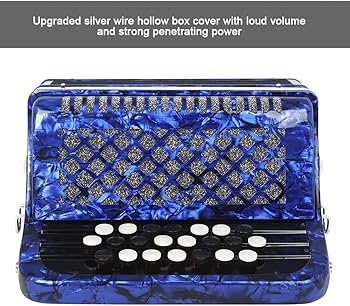 Amazon.co.jp: 初心者用アコーディオン、22キー8ベースピアノボタン