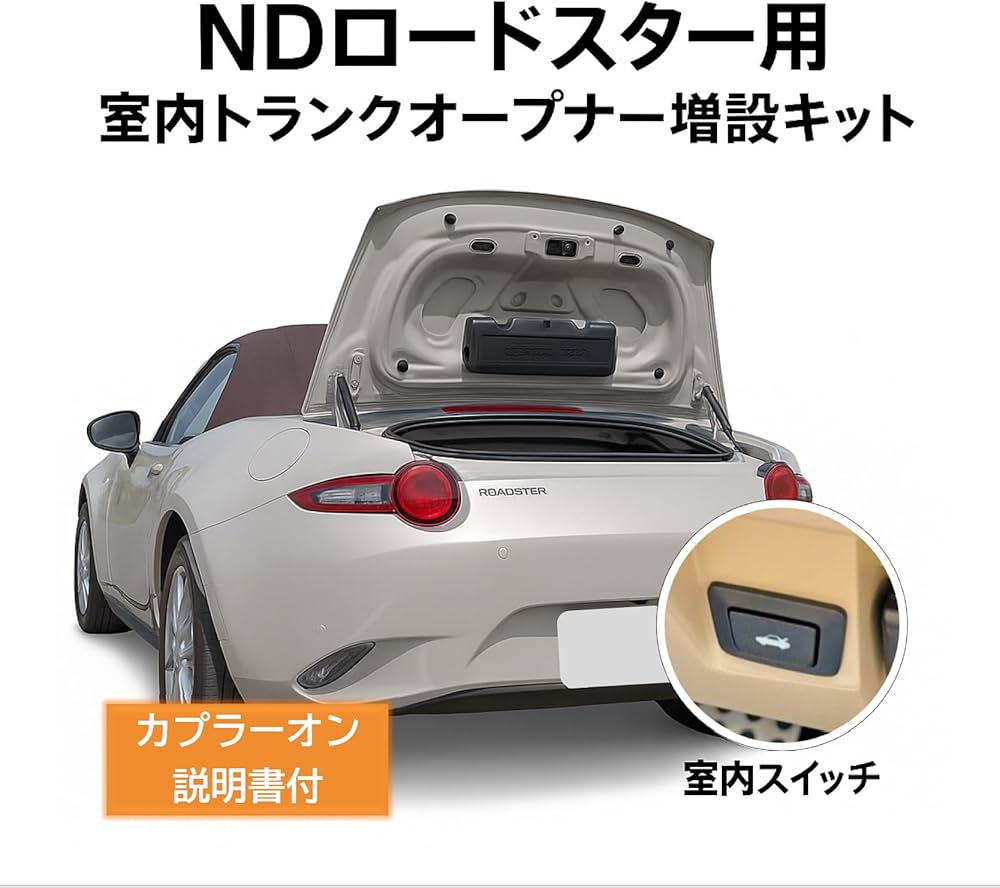 71Z9sh0tPjL._AC_UF1000,