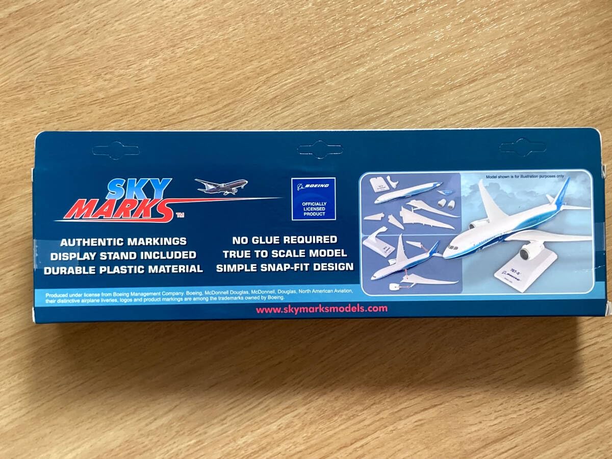 Amazon.co.jp: SKYMARKS American Airlines アメリカン航空 旧塗装 1