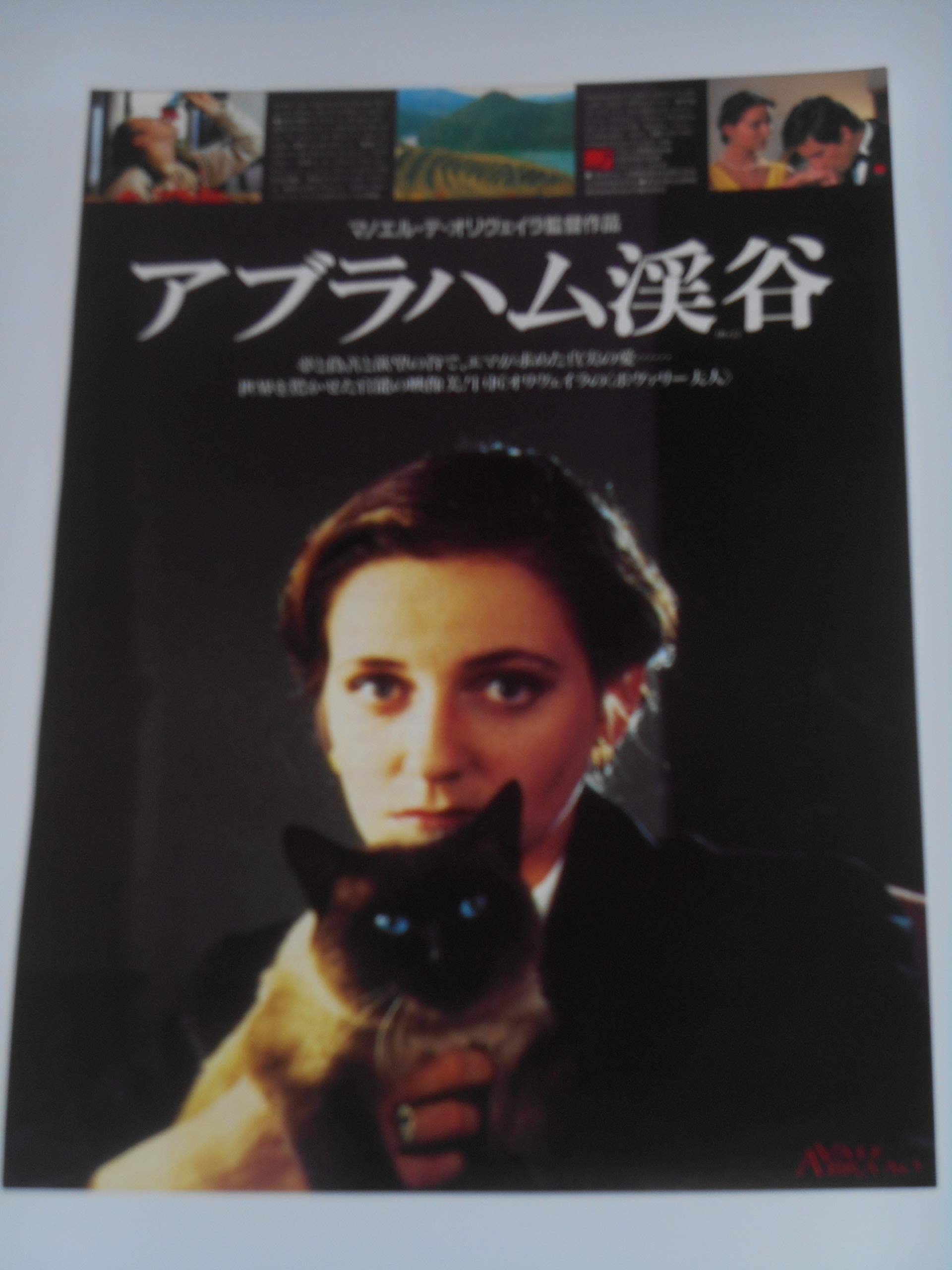 Amazon.co.jp: 映画チラシ アブラハム渓谷 マノエル・デ・オリヴェイラ