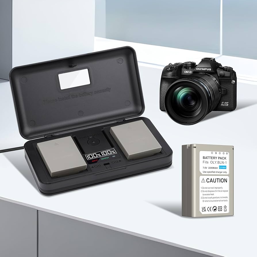 Amazon.com: Palogreen BLN-1 Replacement Battery 2280mAh 2 Pack for