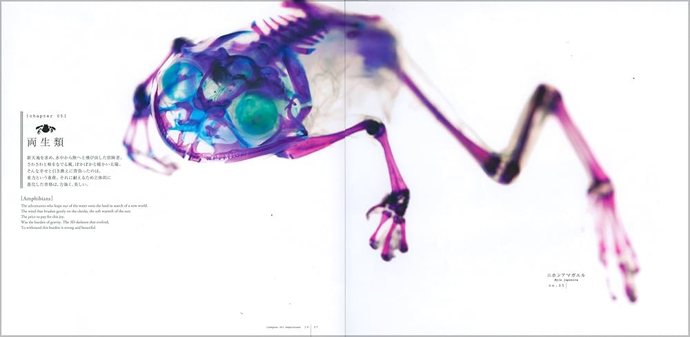 71aAvHhUB7L._AC_UF1000,