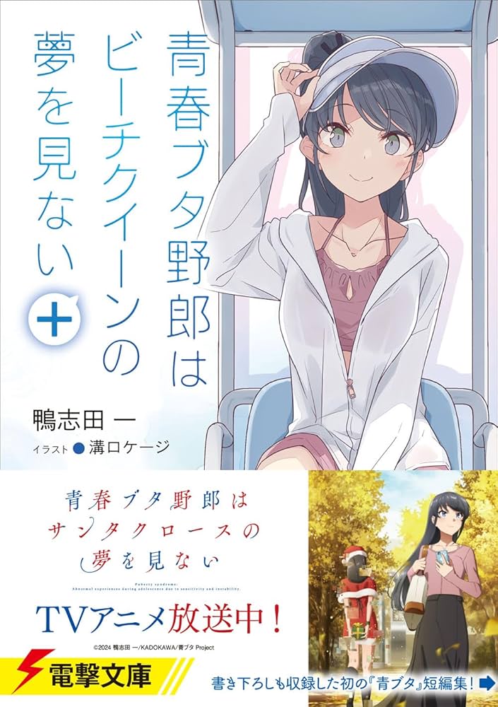 Amazon.co.jp: 青春ブタ野郎はビーチクイーンの夢を見ない+ (電撃文庫