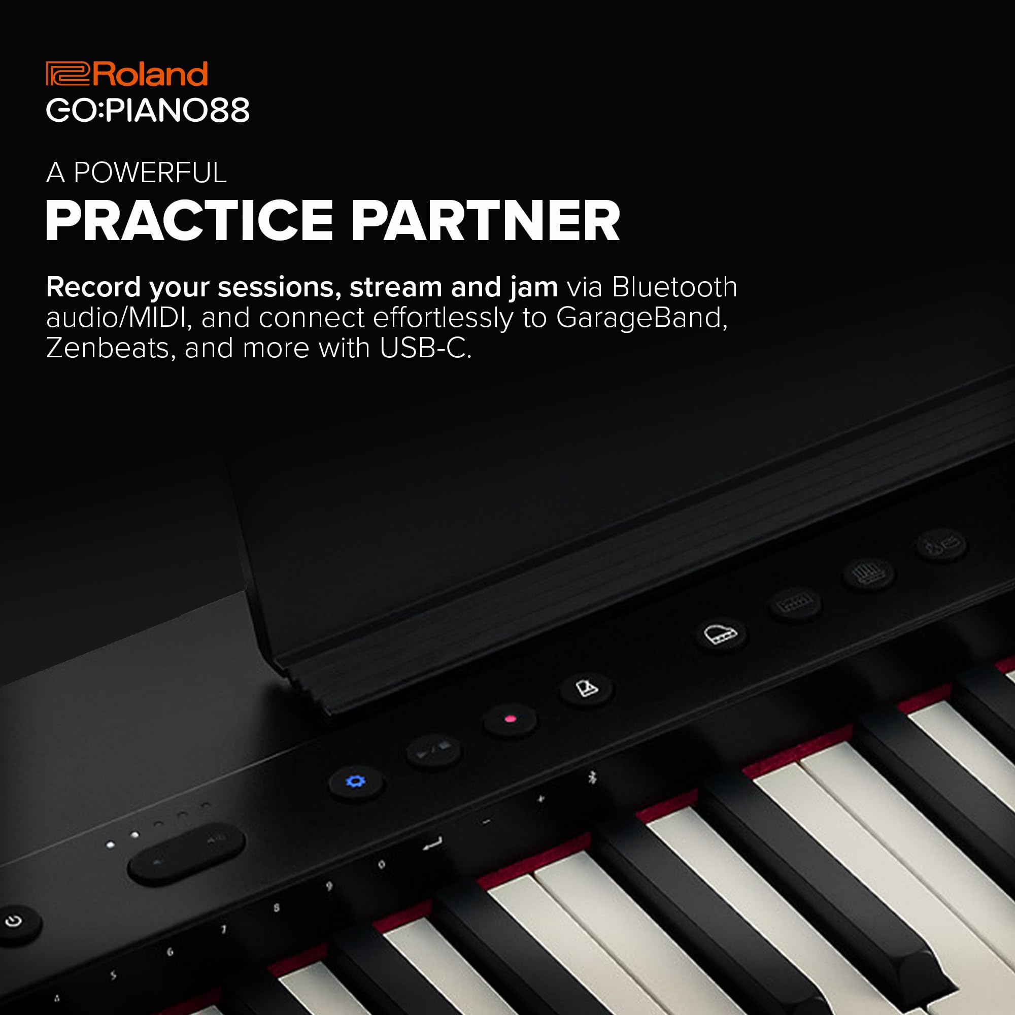 Amazon | ROLAND ローランド GO-88PX GO:PIANO88 Entry Keyboard Piano