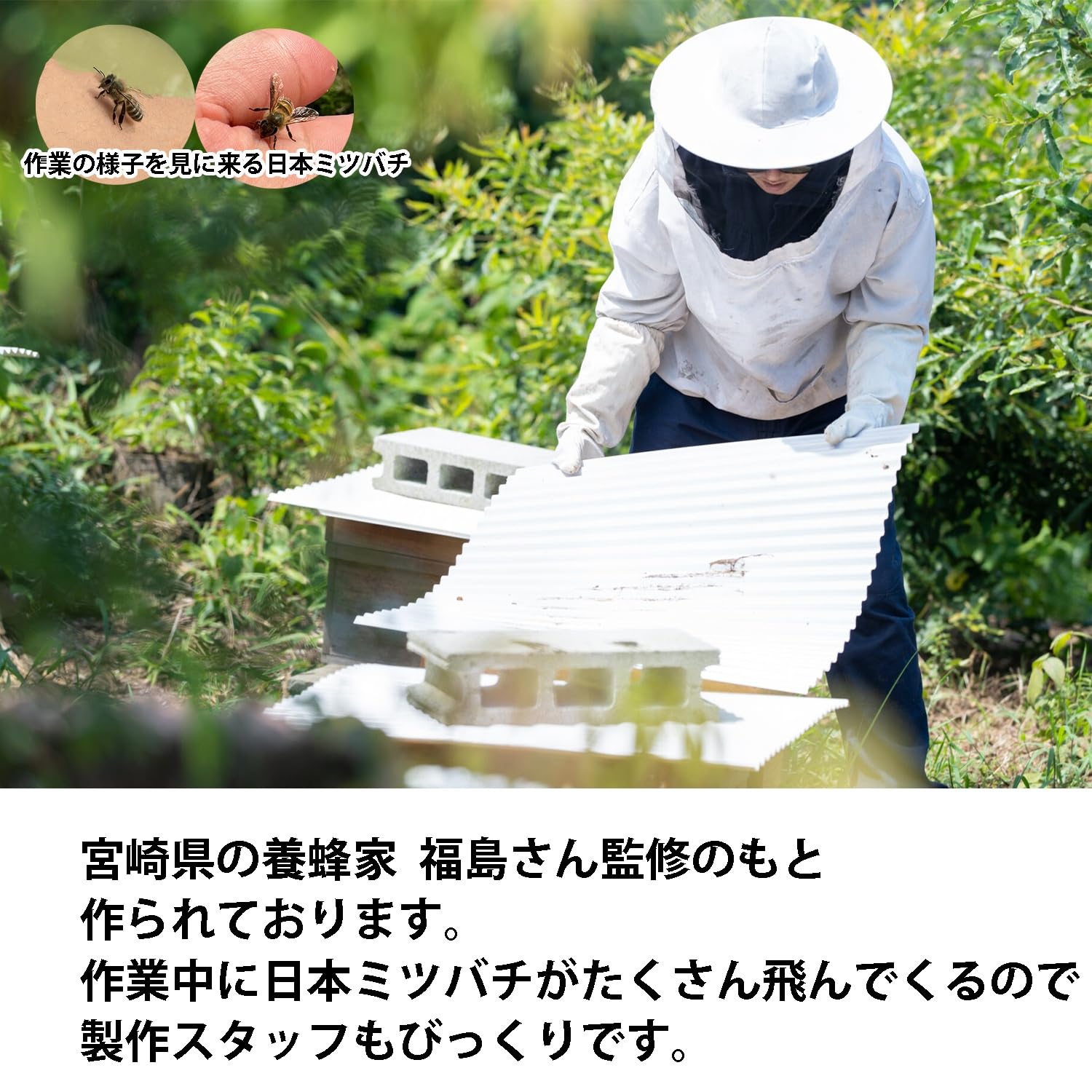 Amazon.co.jp: 蜜蜂 蜜蝋 誘引剤 1個 約33g 手に持ちやすい 養蜂家