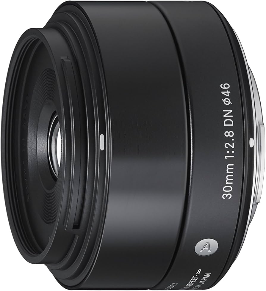 Amazon.com : Sigma 30mm F2.8 EX DN Art (Black) for Sony SE