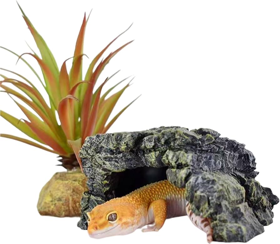 Amazon | GARUMI レオパ シェルター 亀 陸地 浮島 ロック 13×13.5×6cm