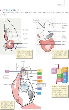 Amazon.co.jp: ウォーモルド直伝 内視鏡下鼻副鼻腔手術トレーニング