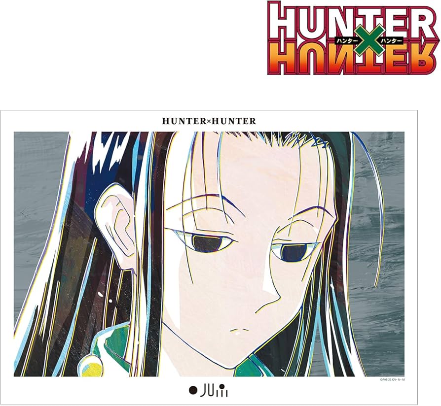 Amazon.co.jp: HUNTER x HUNTER イルミ Ani Art A3マット加工ポスター