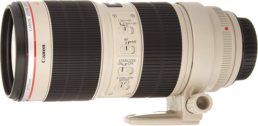 Amazon.com : Canon EF 70-200mm f/2.8L is II USM Telephoto Zoom