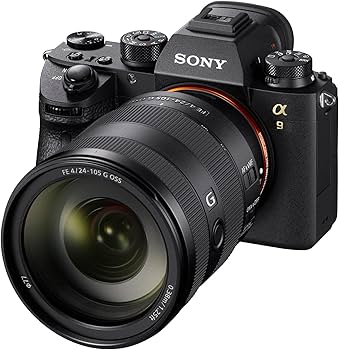 Amazon.co.jp: Sony (ソニー) - FE 24-105mm F4 G OSS 標準ズーム