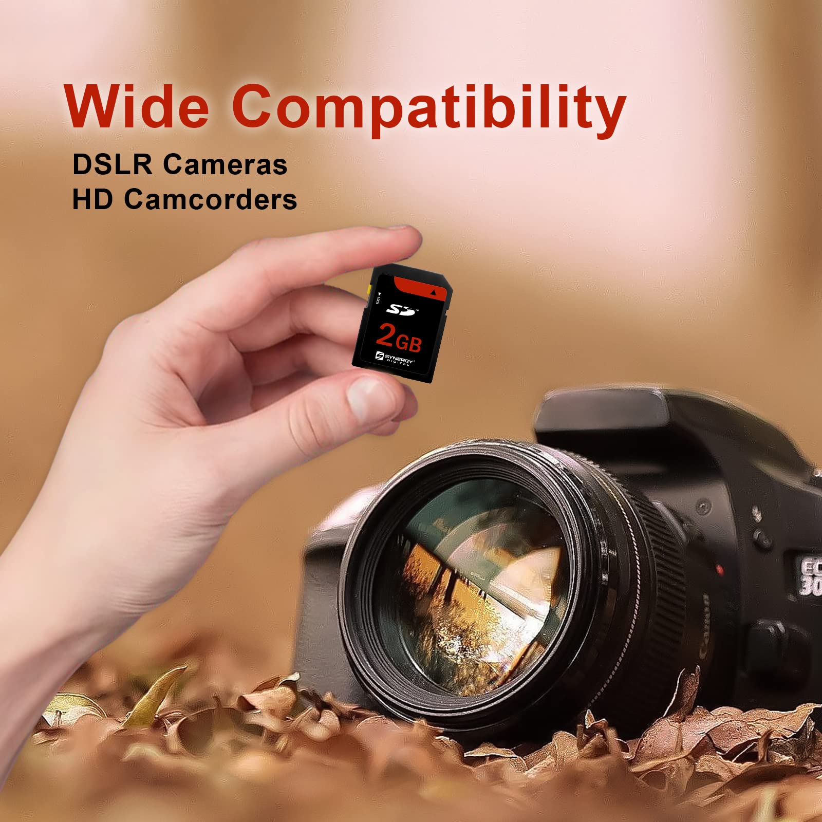 Amazon.com: Casio Exilim EX-Z500 Digital Camera Memory Card 2GB