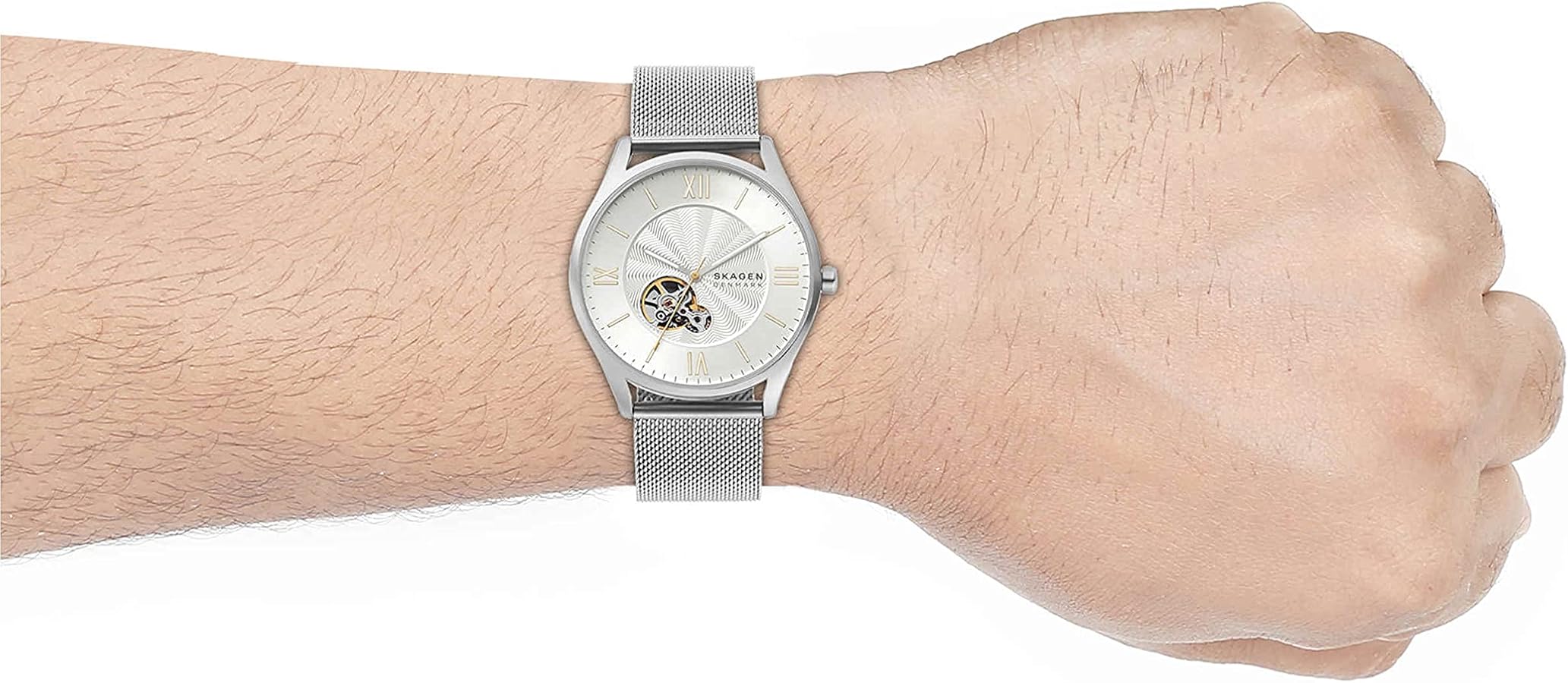 Amazon | Skagen メンズ Holst 自動巻き ステンレススチール