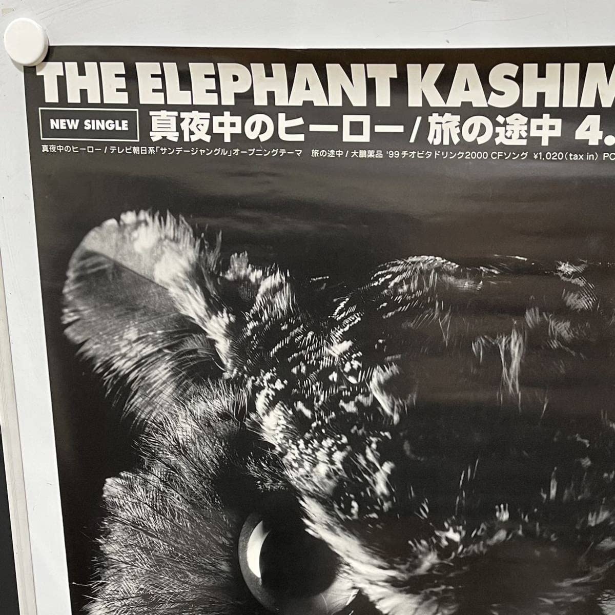 Amazon.co.jp: エレファントカシマシ the elephant kashimashi B2 告知