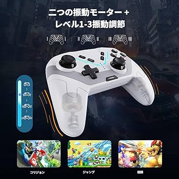 Amazon | Switch コントローラー TURBO連射機能 プログラム機能