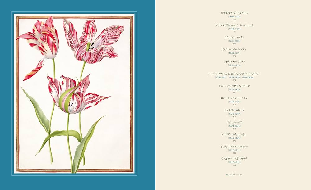 ボタニカルアートの世界:植物図譜の名品コレクション | アンドレア