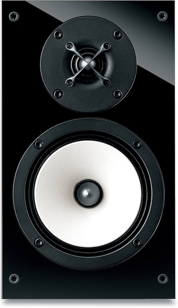 Amazon.co.jp: ONKYO サラウンドスピーカーシステム (1台) D-509M(B