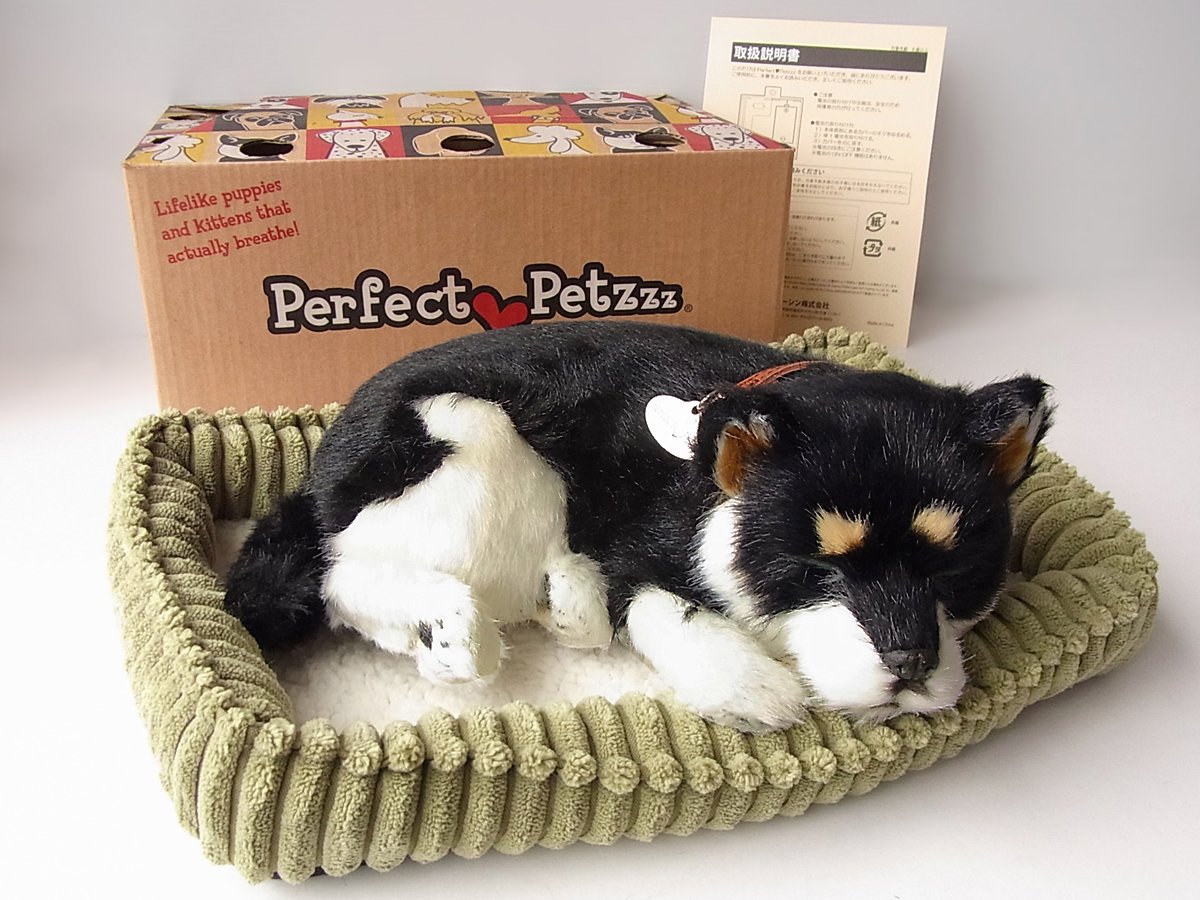 Amazon.co.jp: ニニアンドキノ パーフェクトペット (小サイズ) 柴犬