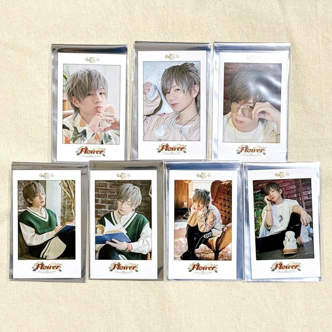 Amazon.co.jp: 浦島坂田船 うらたぬき チェキ風カード 全7種類