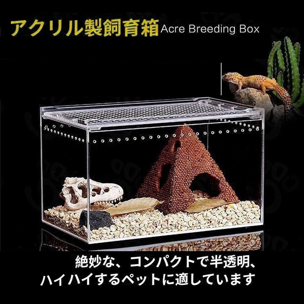 Amazon.co.jp: 爬虫類 飼育ケース レプタイルボックス 透明アクリル