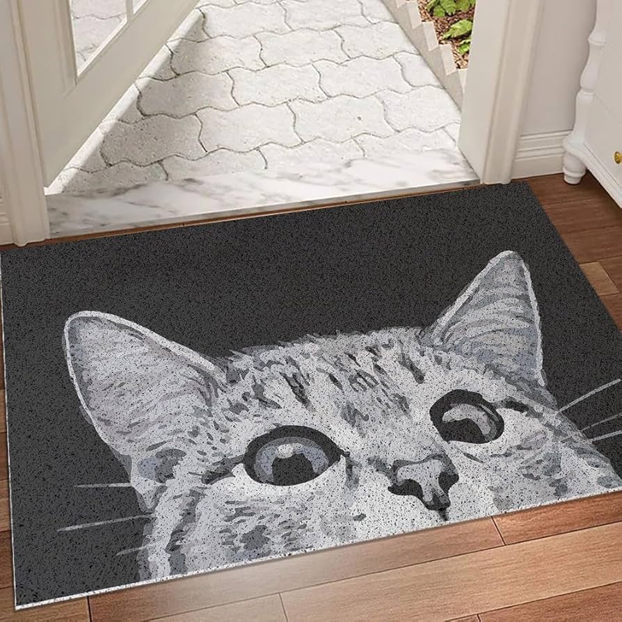 Amazon.com: MR FANTASY Cat Door Welcome Mat - Outdoor Entrance