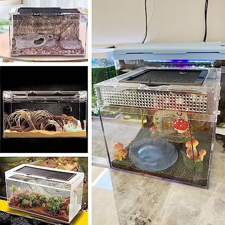 Amazon | 爬虫類ケージ 飼育容器、トカゲ ケージ、20cm/30cm/40cm/50cm