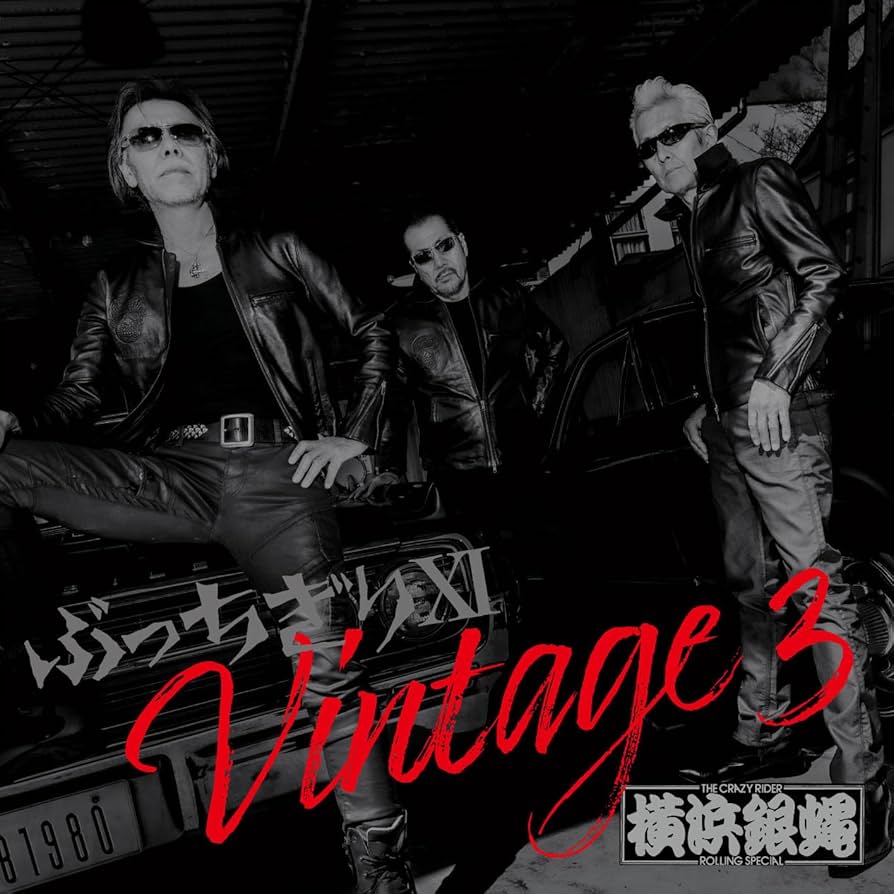 Amazon.co.jp: ぶっちぎりⅪ Vintage 3 通常盤 - T.C.R.横浜銀蝿R.S.
