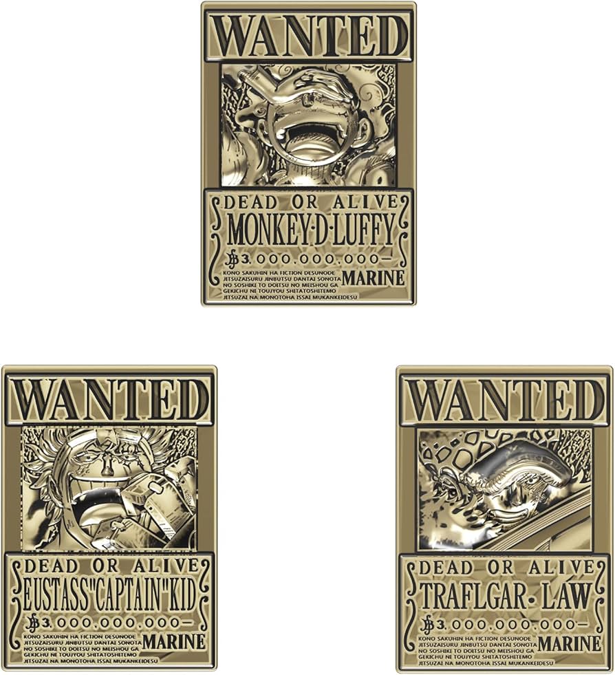 Amazon.co.jp: SxE ワンピース 金属製 手配書 3点セット ニカルフィ