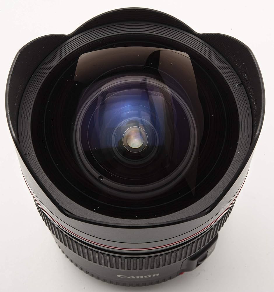 Amazon.co.jp: Canon EFレンズ 14mm F2.8L USM : 家電＆カメラ