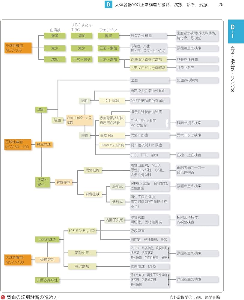 71fIIUHmO1L._AC_UF1000,