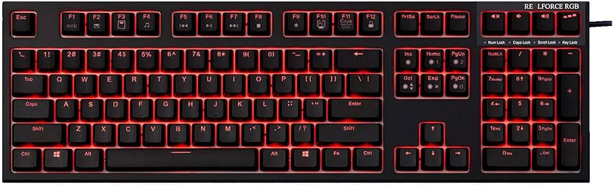 Amazon.co.jp: R2A-JP4G-BK REALFORCE ゲーミングフルキーボード 日本